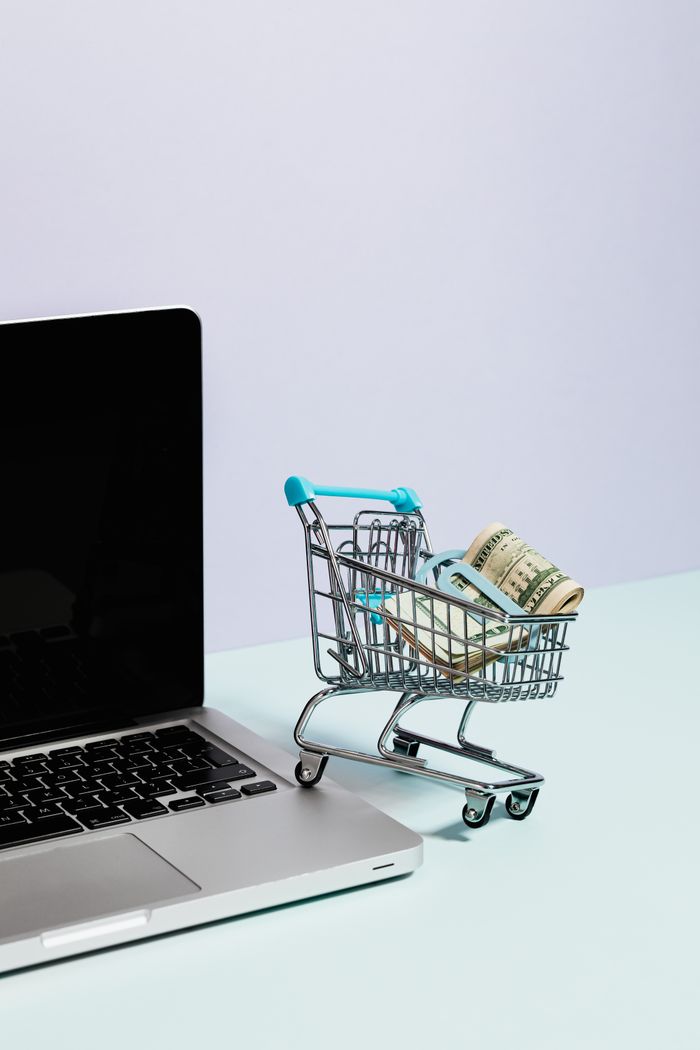 About Mini shopping cart with rolled cash next to a laptop, representing online shopping.